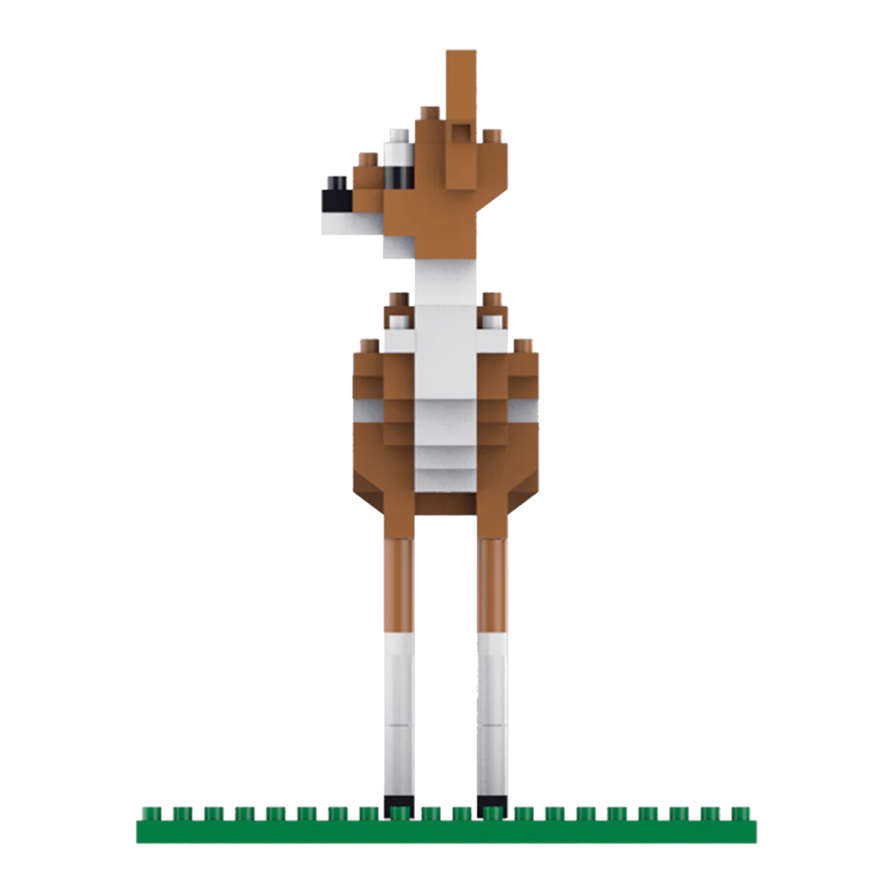 Thumbnail 6