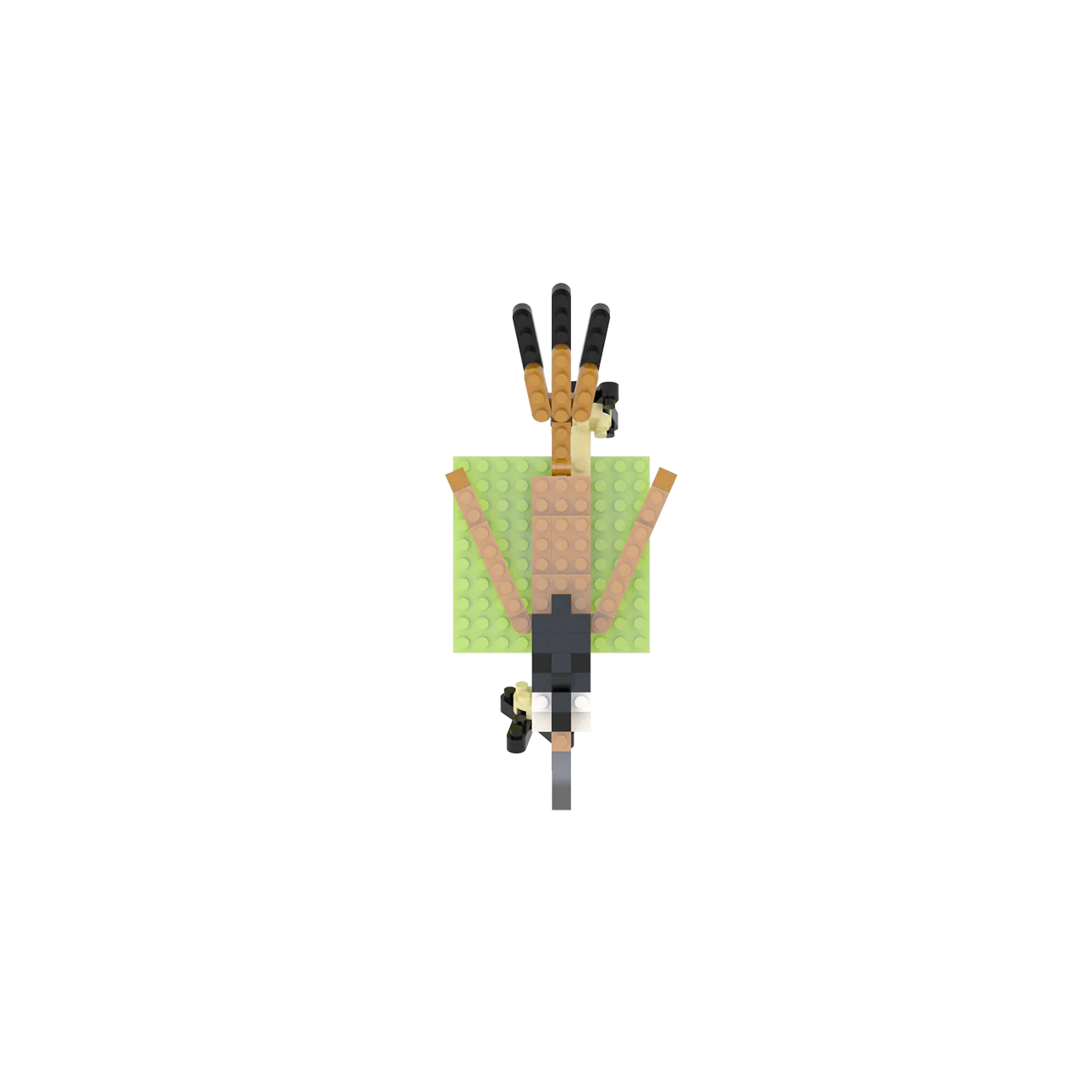 Thumbnail 62