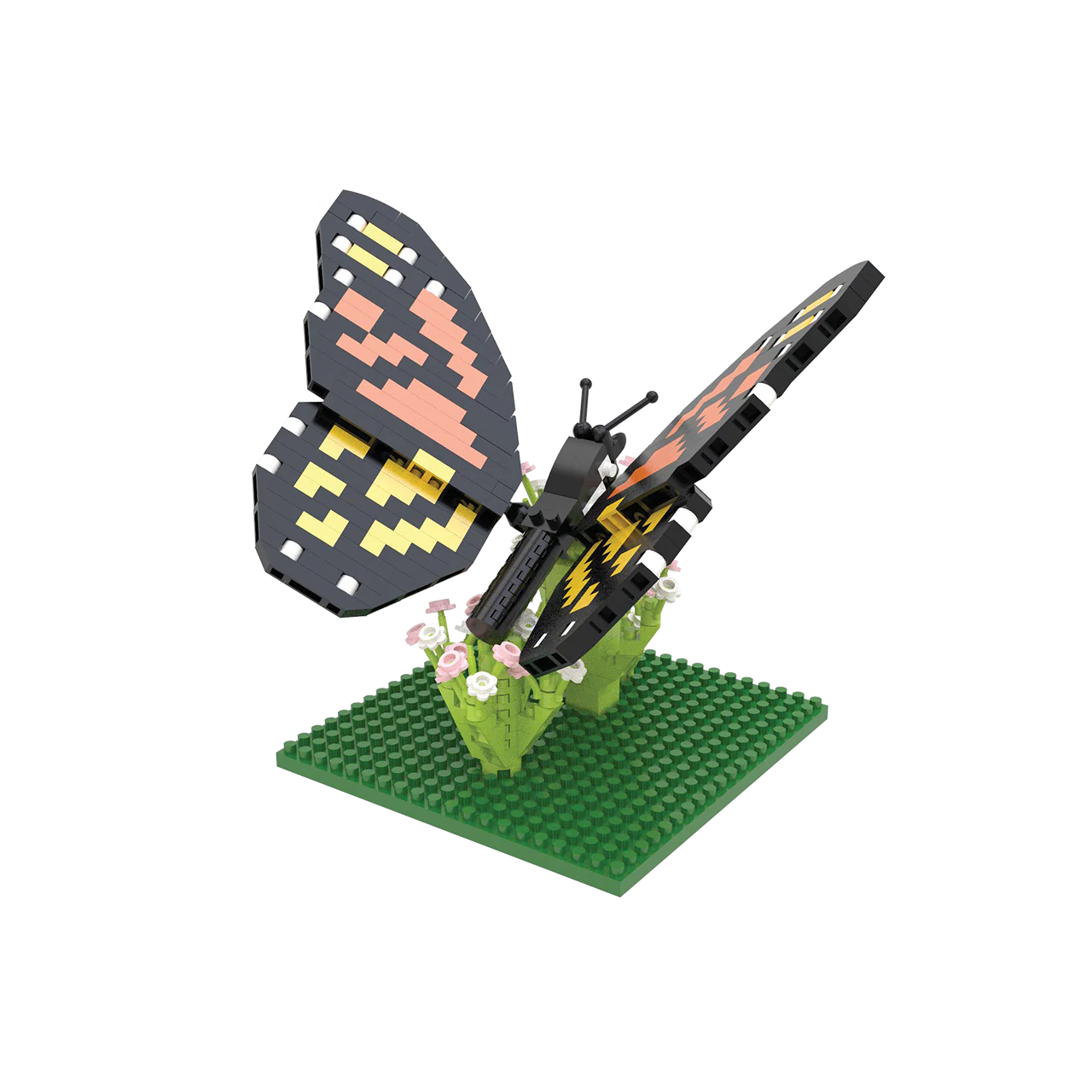 Thumbnail 5