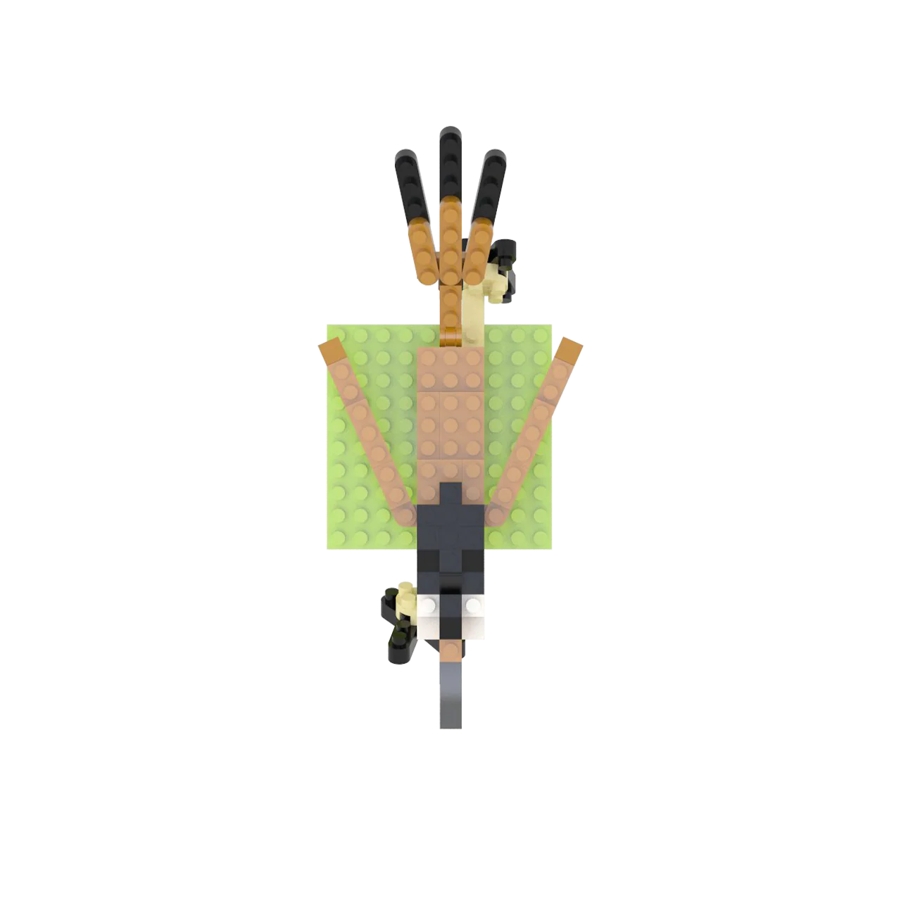 Thumbnail 66