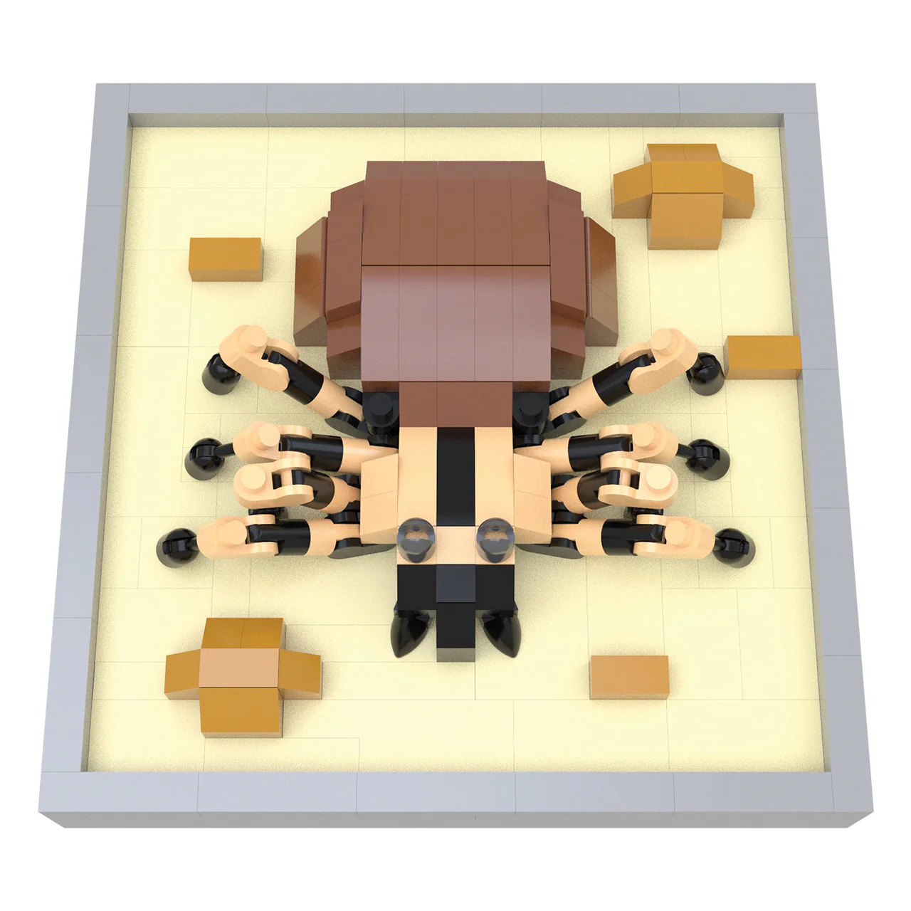 Thumbnail 6